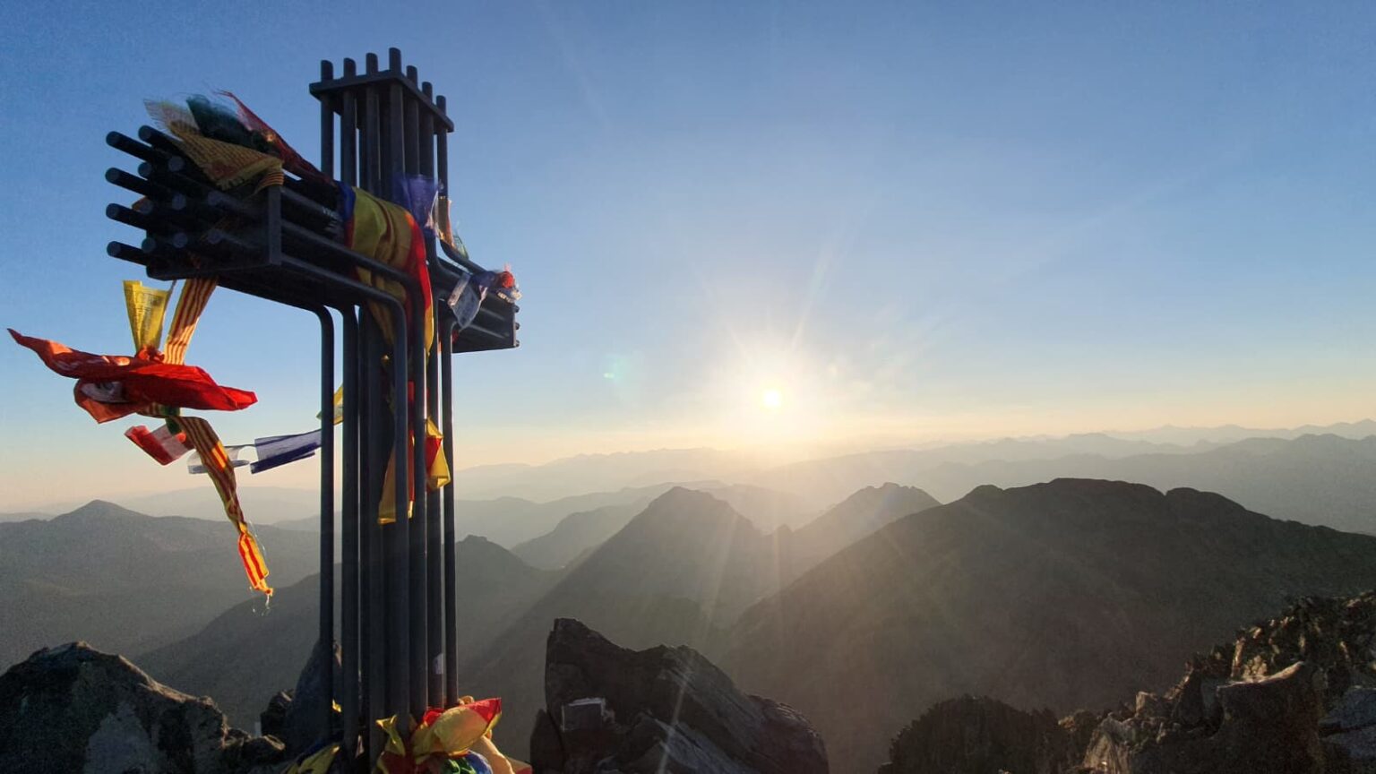 WhatsApp Image 2026-02-13 at 11.29.14