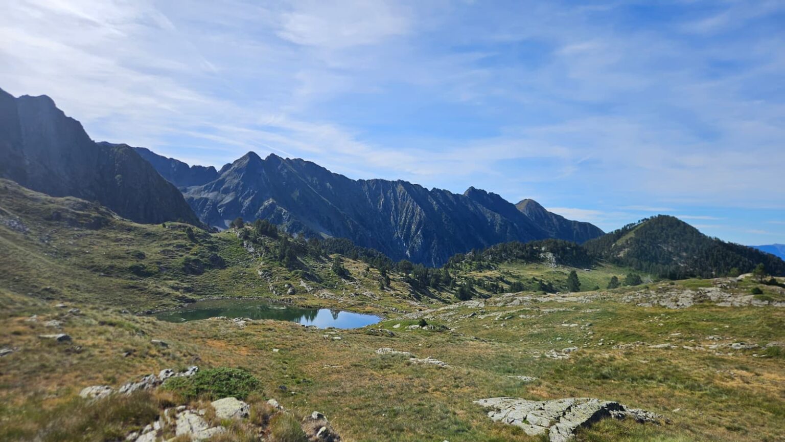 WhatsApp Image 2026-03-06f7