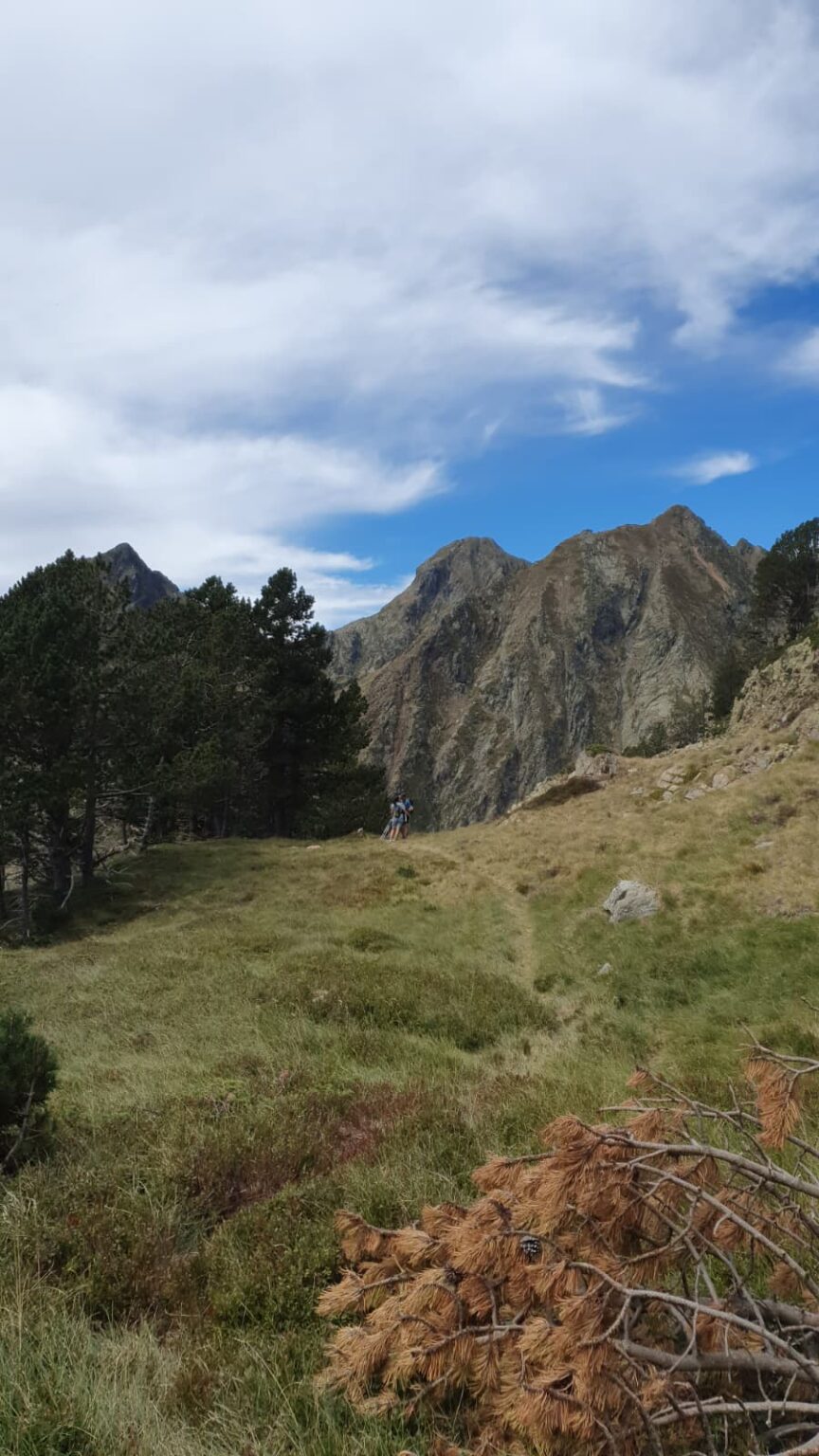 WhatsApp Image 2026-03sd06 at 18.49.32