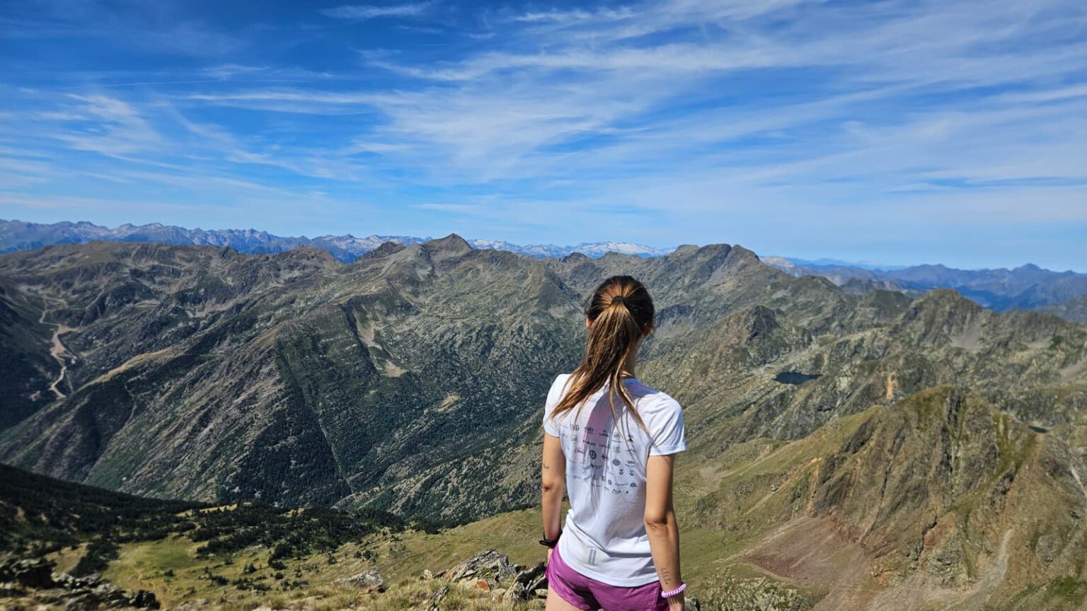 WhatsApp Image 2026f18.51.47