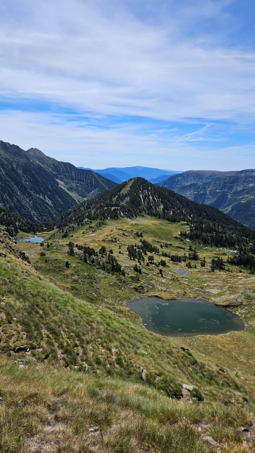 WhatsApp Image 202d-06 at 18.51.42