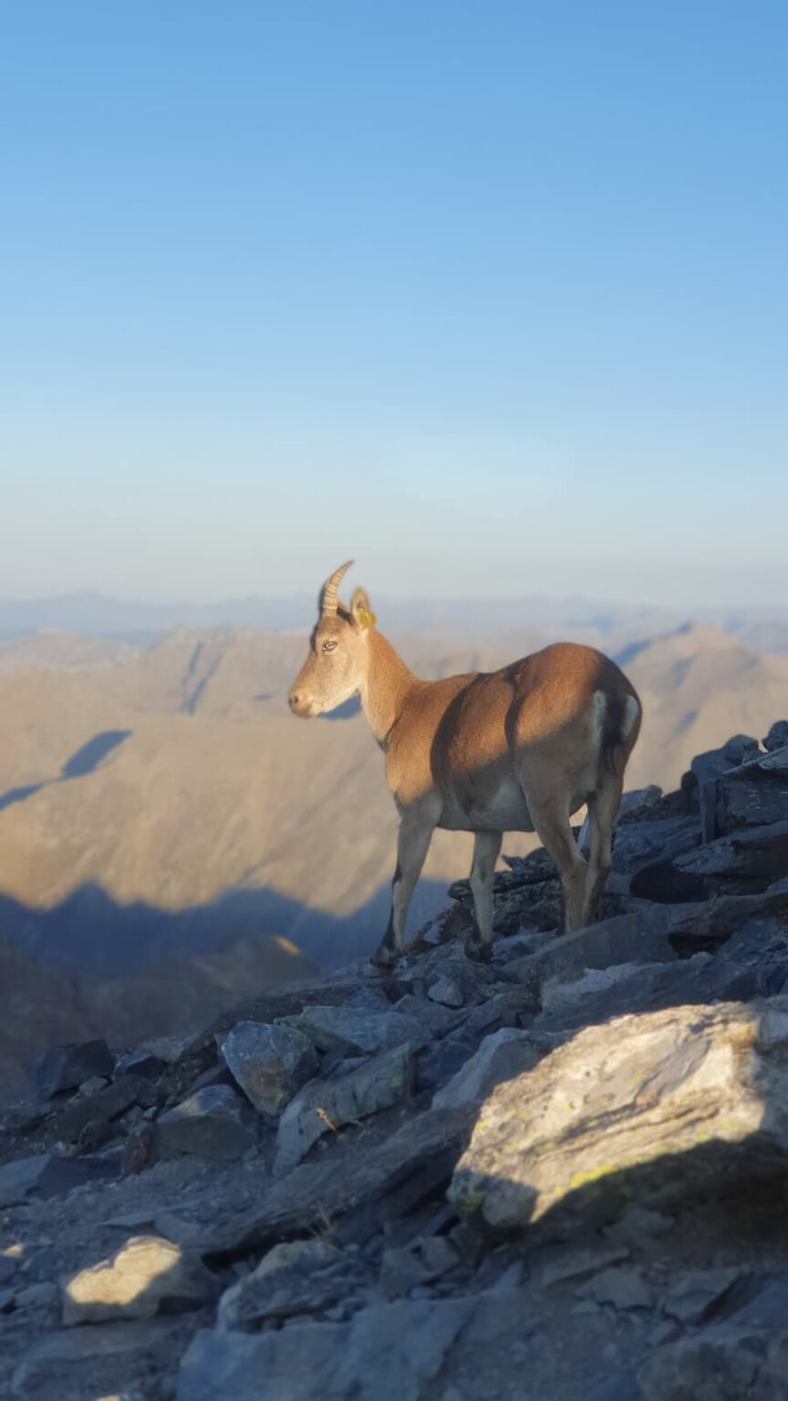 WhatsApp Image 2026-03-06 at 11.46.14